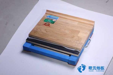 楓木、楓樺木、柞木運動地板用途是什么
